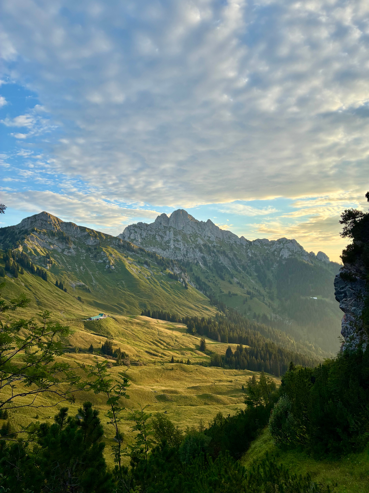 Berglandschaft im Sommer