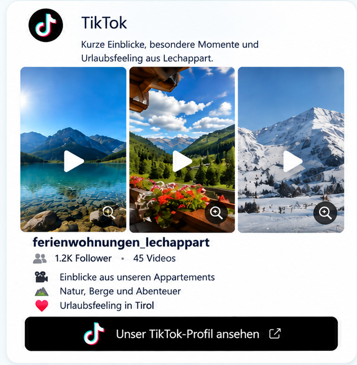 TikTok – Lechappart